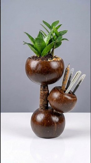 DIY Coconut Shell Plant Pot & Pen Holder | Easy Craft Idea ✨ #shorts #diy #shortsfeed #craft