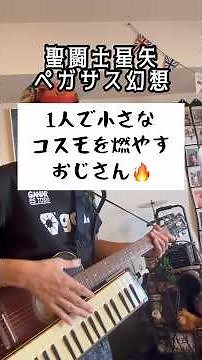 あり得ない演奏法でお届けする聖闘士星矢のOPテーマ ペガサス幻想