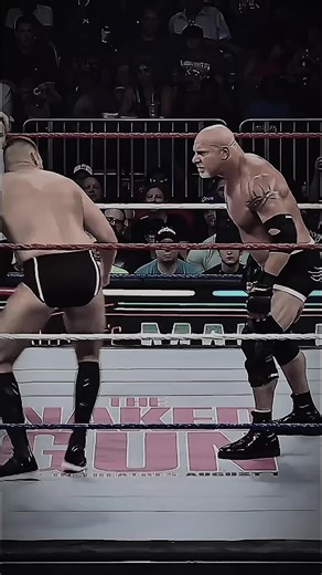 Goldberg Reaction Challenge Champion Highlights