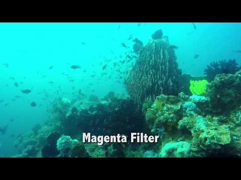 GoPro Underwater Filters
