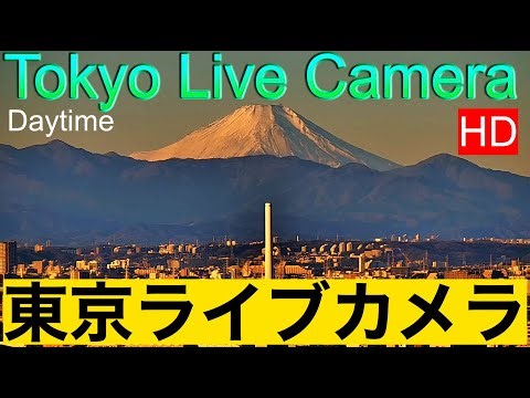 【東京ライブカメラ】TOKYO LIVE CAMERA. Mt'Fuji from Tokyo 富士山 紅富士 赤富士 東京からの富士山 #東京ライブカメラ 富士山東京