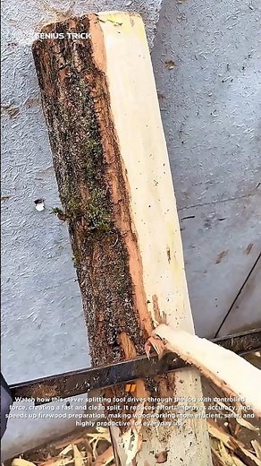 This Log Splits Instantly #woodworking #tools #shorts
