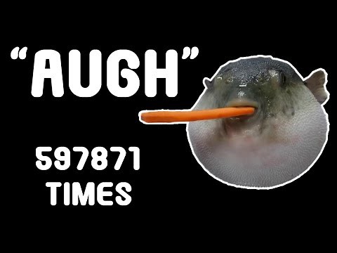 Pufferfish Eating a Carrot 597871 Times