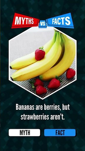 Myths vs Facts: Debunking common misconceptions! 💡 myths vs facts,myths and facts #myths #facts