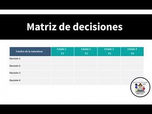 4.13. MATRIZ DE DECISIONES
