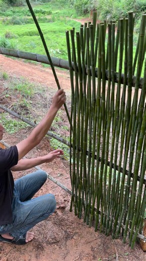 DIY Bamboo Garden Fence, Cheap & Practical!