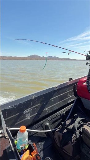 Raised transom and resealed lower unit has this blueband Merc 200 singing #mercury #tinyboat