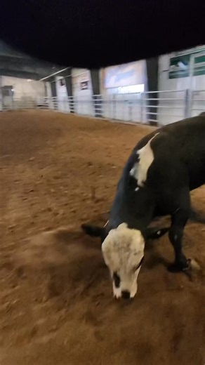 Practice practice practice Miles Community College Rodeo 🤙🏻 | Korbin Baldwin
