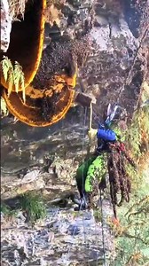 Video on how to remove bees . . . #beekeeping #amazing #life #lifestyle #bees #travel #love #beekeeper #bee #photooftheday #photography #fypシ゚ #instagood #reelsviralシ #honey #beekeepers #reelsfypシ #beautiful #beesofinstagram #picoftheday #nature #fashion #beeswax #happy #style #honeybees #savethebees #instadaily #honeybee #usa | Searching For Honey