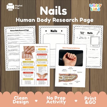 Nails Human Body Research Project | Integumentary System Science Informational