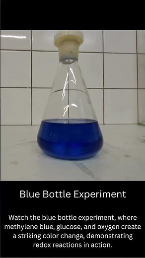 Blue Bottle Experiment