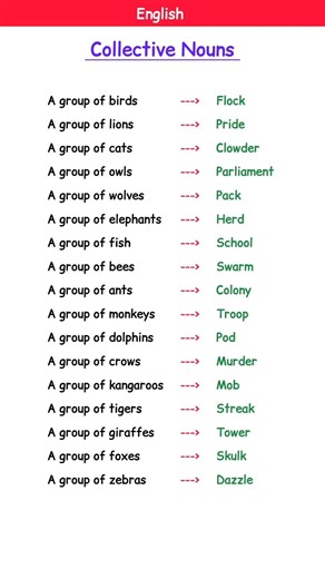 Do You Know These Group Names? |Collective Nouns #Learn English #interactiveenglish #elt