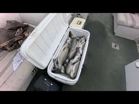 May 9/2026 Striper/Craooie fishing lake Oconee