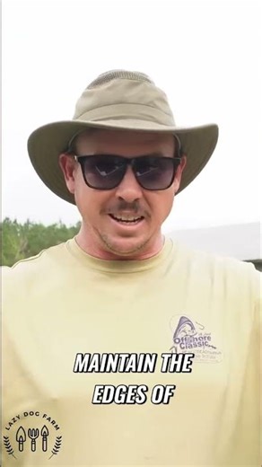 Sorghum Sudangrass: Natural Weed Control for Gardeners