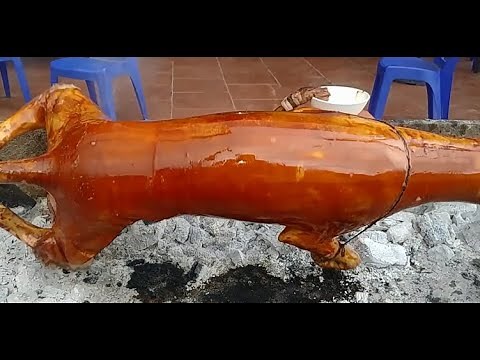 dog grilled whole - Crispy Roast BBQ Whole Calf - Vietnam street food | Vietnamese cuisine