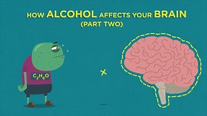 What happens when alcohol affects the developing brain🧠? Use this lesson so kids can learn and be empowered to say "NO" to underage drinking https://bit.ly/3Sk9vLv | Ask, Listen, Learn