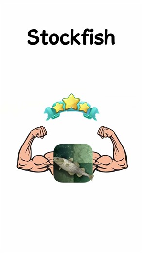 Chess Engine #3 - Stockfish | Rybka