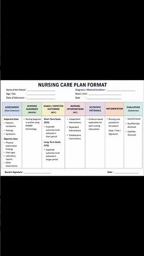 🩺 Complete Nursing Care Plan Format | NANDA Care Plan | GNM, B.Sc & M.Sc Nursing