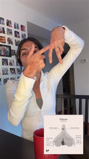 Understanding the Clitoris: Anatomy and Health