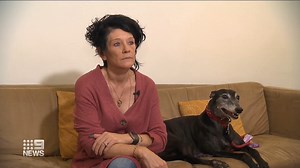 A Darwin family has been left devastated - after its pet greyhound died following a stay at a boarding kennel. It's prompted a blame game between the dog's owners and the pet hotel - as to who is responsible. | 9 News Darwin