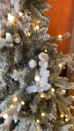 SHE’S A BEAUTY! 🎄 7 foot pre-lit flocked balsam LED Christmas tree $79.99 Open today until 6pm. | J&B Liquidations