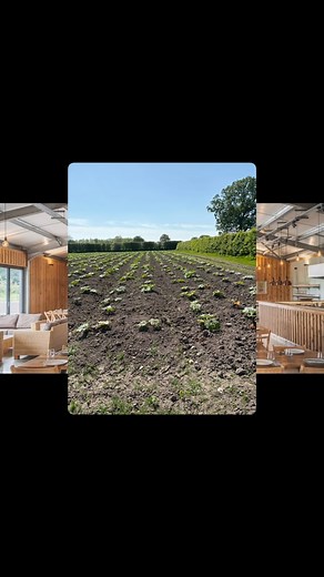 Yesterday I went along to a Forage & Feast event at @groobarbs with @foragebox. We started the day with a guided foraging walk through the fields at Groobarbs Wild Farm in High Legh, learning about the edible plants growing all around us. I had no idea dandelions were not only edible but considered a delicacy in France 🌼 After the foraging session, we headed back to the restaurant on site and enjoyed a three-course lunch featuring some of the ingredients we’d collected. A real field-to-fork exp