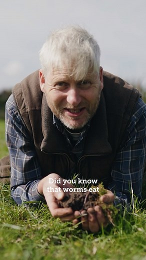 3.7K views · 124 reactions | Big news for #worm fans today… as the humble common earthworm is crowned 2024’s ‘Invertebrate of the year’. 缾 Our head of horticulture Ben Raskin shares just a few reasons why this accolade is so very well-deserved… #Worms are the unsung heroes of the #Soil, working beneath the surface to sustain our soils, the food system (and our lives) | Soil Association | Facebook