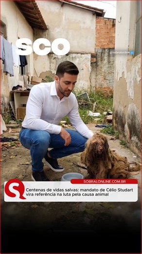 Sobral Online on Instagram: "Por meio do mandato do deputado federal @celiostudart , centenas de animais foram resgatados em diferentes regiões, retirados de situações extremas de maus-tratos, abandono e risco iminente de morte. As ações contam com atuação direta, presença em campo e assistência efetiva, garantindo acolhimento, cuidados veterinários e encaminhamento adequado aos animais encontrados em condições críticas. Ao longo dessas iniciativas, vidas que antes eram marcadas pela dor, pelo m