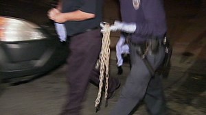 2011: 4 adults found chained in basement