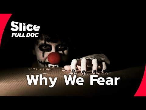 The Science of Fear: Why Some Seek Danger and Others Don’t | FULL DOCUMENTARY