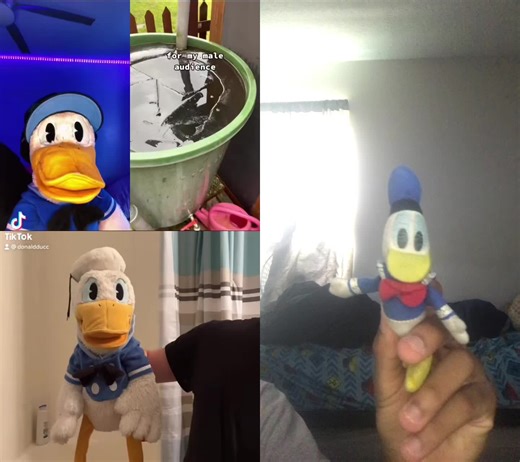 #duet with @donaldducc BRAKE THE ICE 🧊 🦆 🦆 🦆
