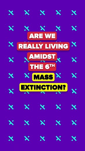 The Holocene Extinction: A Modern Crisis