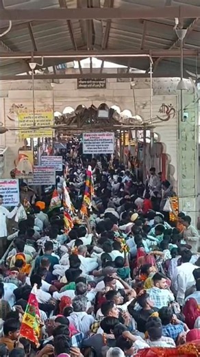 Ramdevra Yatra Experience 🌸 | Baba Ramdev Ji Blessings | Mini Vlog #ramdevrayatra #travelvlog #short