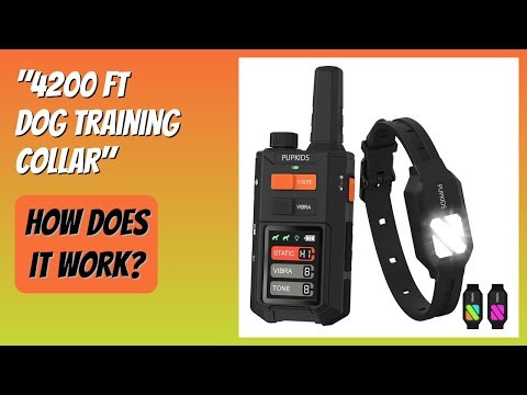 REVIEW (2025): "4200 FT Dog Training Collar". Features