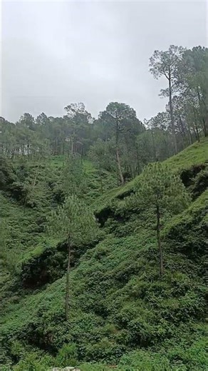 🚩Manimahesh Yatra 2025 | Kailash Kund, Chamba (5653m) | Divine Journey 🕉️ #ChambaHimachal #LordShiva