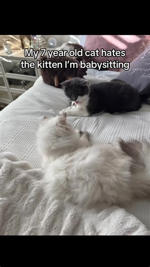 She’s such a grumpy middle-aged lady who hates joy and whimsy