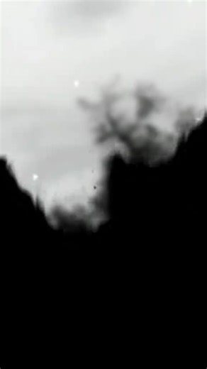 haya queen (@haya.queen941)’s videos with original sound - haya queen