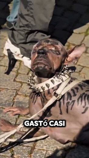 millionaire wanted to look like a dog and spent $2.7 million🐶