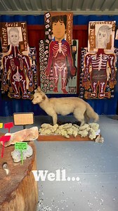 2.8K views · 15 reactions | Exploring Alabama on Reels | Facebook