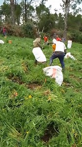 14M views · 10K reactions | 藍藍藍樂樂 dude don't connect it oohhh @highlight | W'theBossy Waters | Facebook