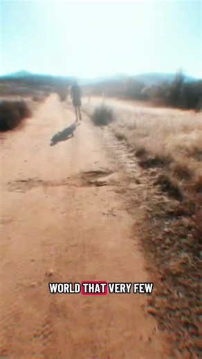 2025 Lake Hodges Trail Festival 50K #running #ultramarathon #weightlossjourney