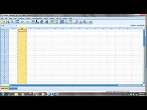 SPSS SCREEN RECORDING