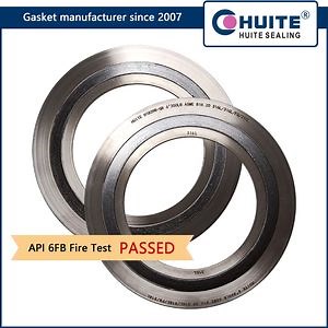 [Hot Item] API 6fb Fire Test Flexible Graphite Filler 316L Inner Outer Ring Cgi Spiral Wound Gasket