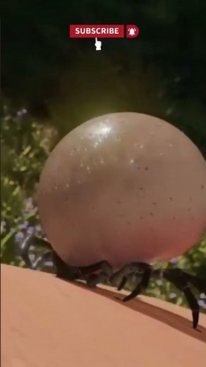 How Much Blood Can a Tick Actually Drink Before it Explodes!