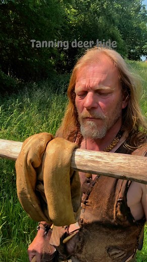 Softening a deer skin #survival #ancienttechnology #primitiveskills | Will Lord Prehistoric Survival