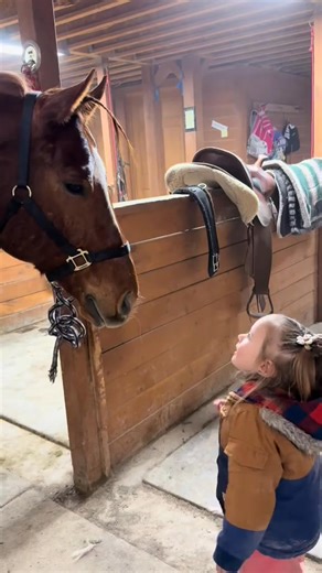 15K views · 684 reactions | I will need to do an official introduction of all of the family. But here is a video with Me, (mom of Mayzee). I’m the filmer so you don’t normally see me #fyp #viral #family #toddlermom #horse #barnl | VN Cool | Facebook