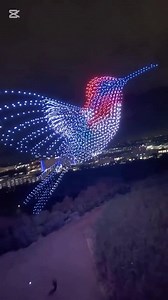 Hummingbird Drone Show!!😱😍 | Hummingbird Haven