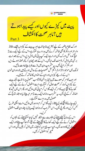 health | Wellness Tips in urdu