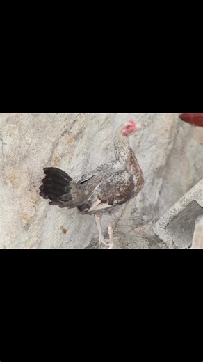 Tratando de aprender cada día