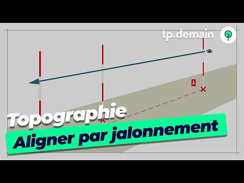 Jalonnement pour l'Implantation d'un Alignement